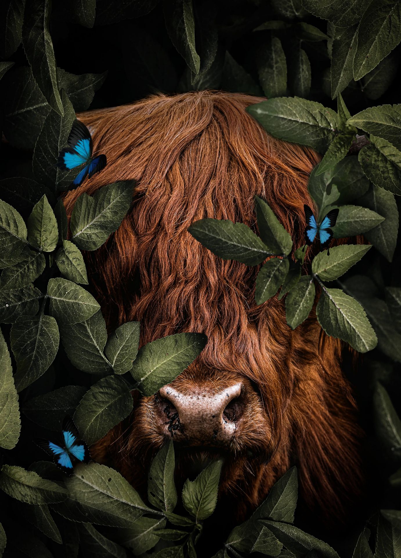 Jungle Highlander Portrecie