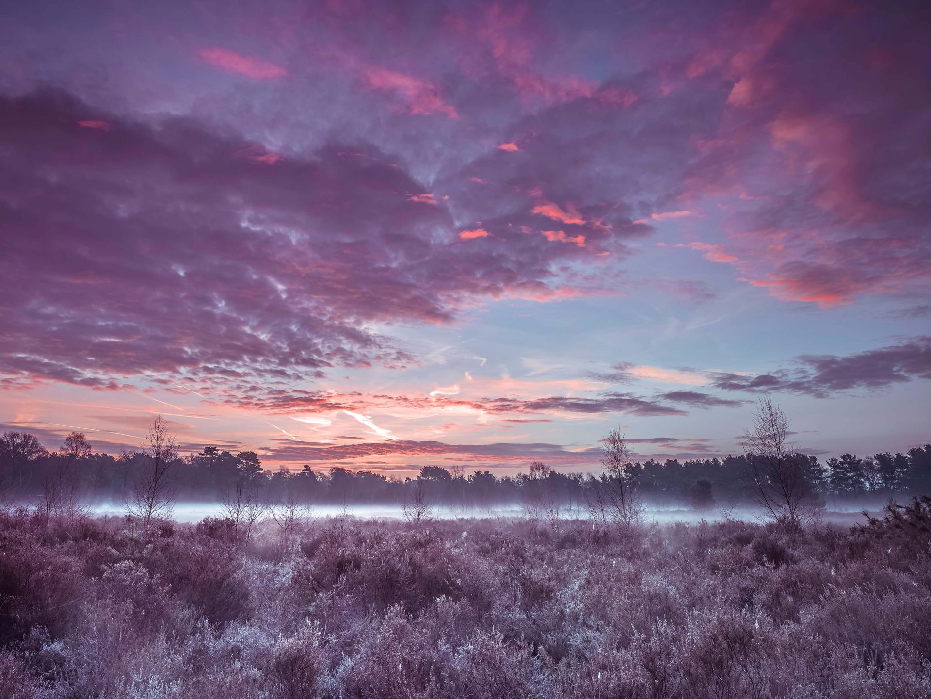 Łąka pod pochmurnym niebem