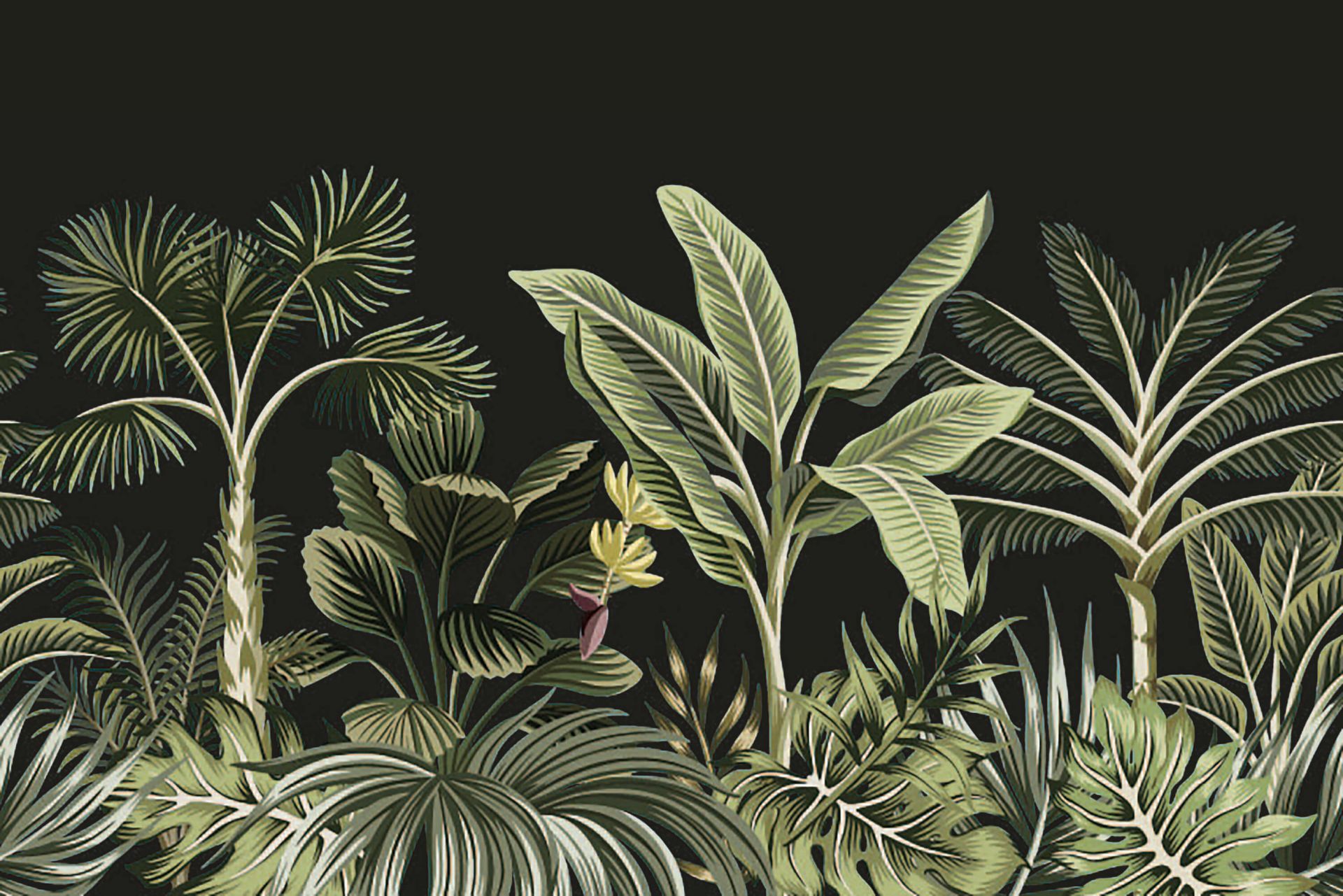Tropikalna palma na ciemnym tle