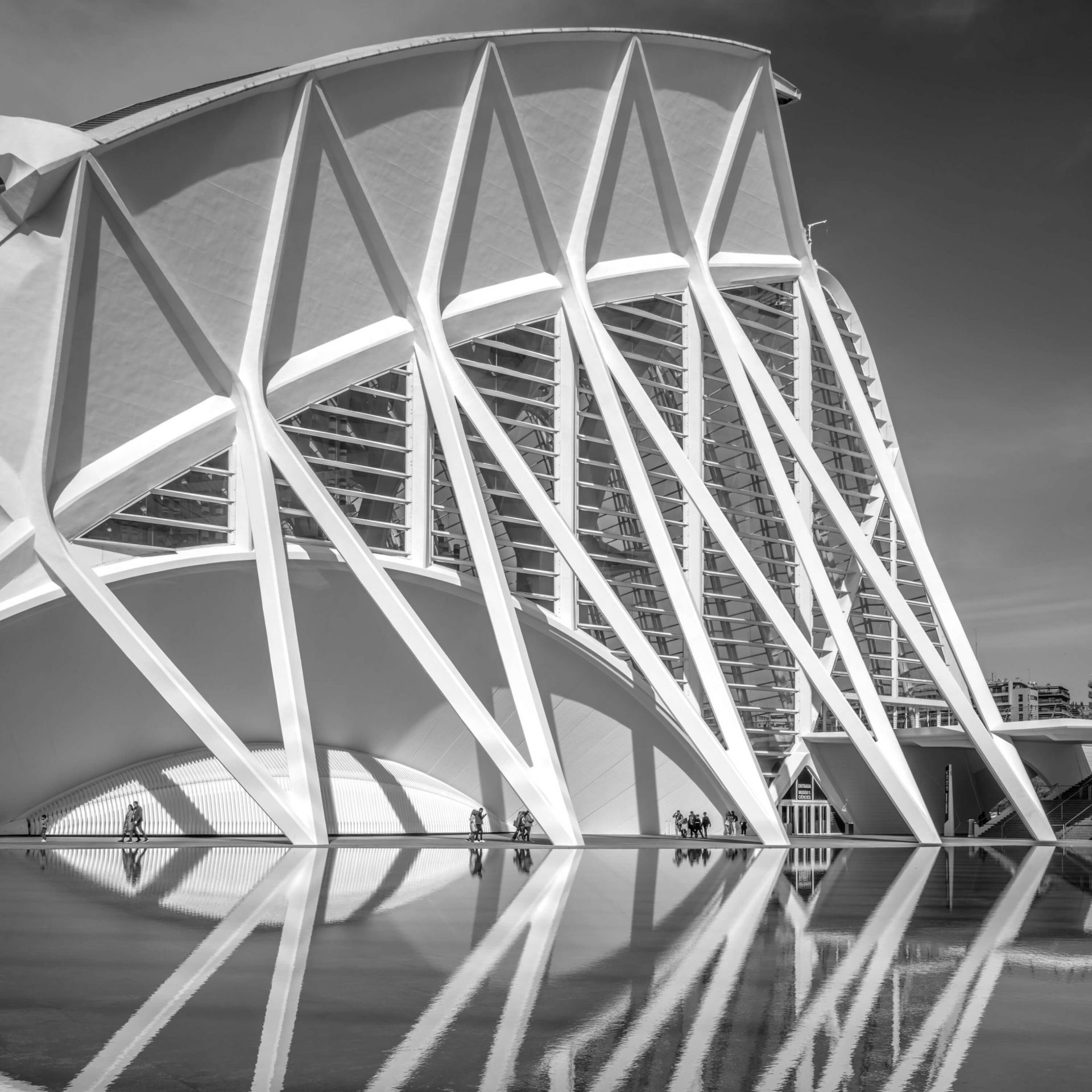 Muzeum Nauki - Museo de las Ciencas Principe Felipe - Walencja