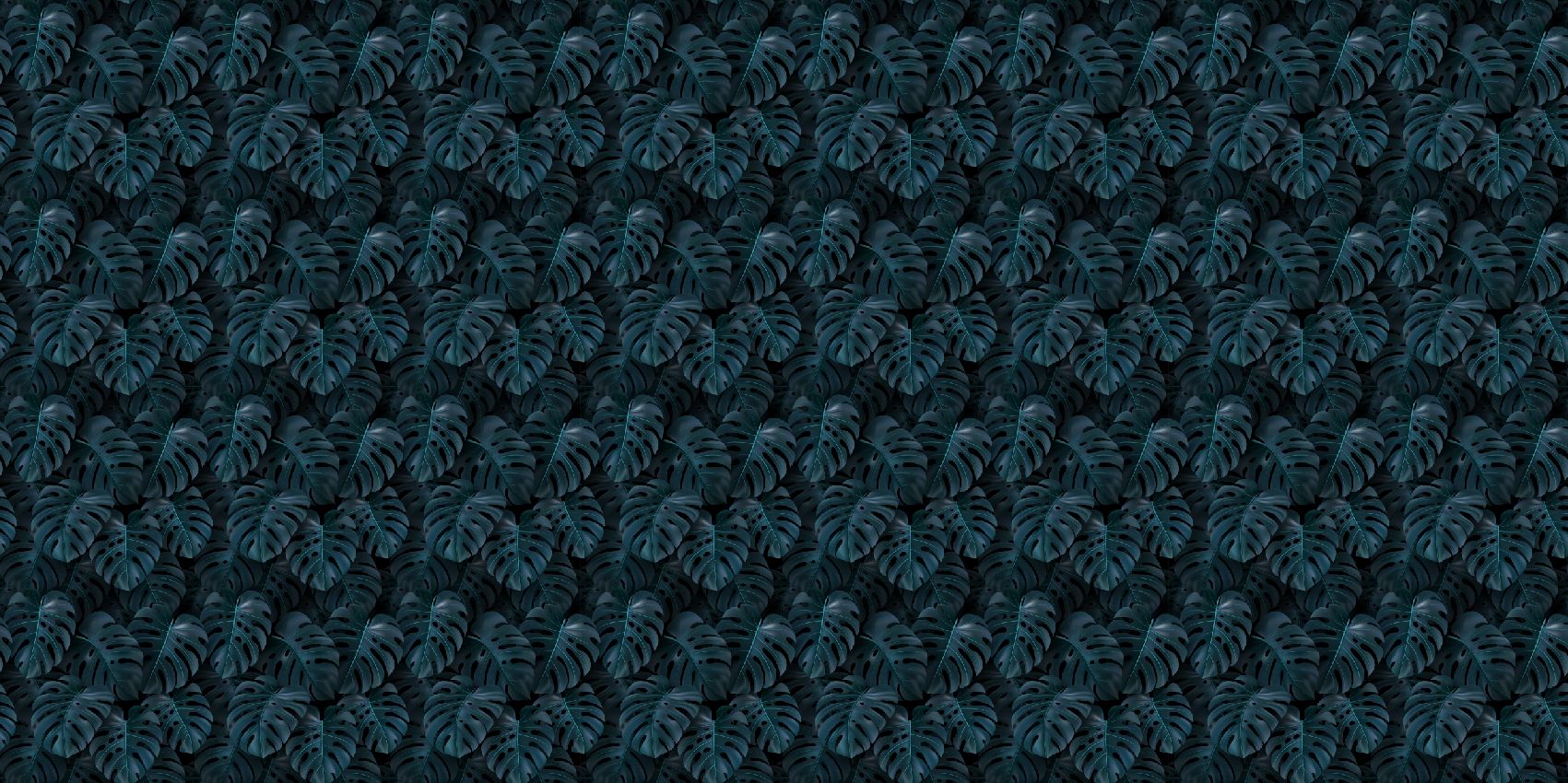 Tropikalna zieleń liści Monstery