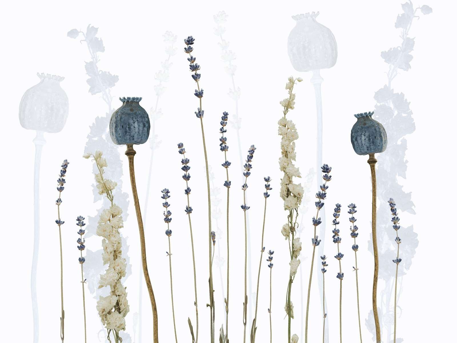 Akwarela Flora Marzenie