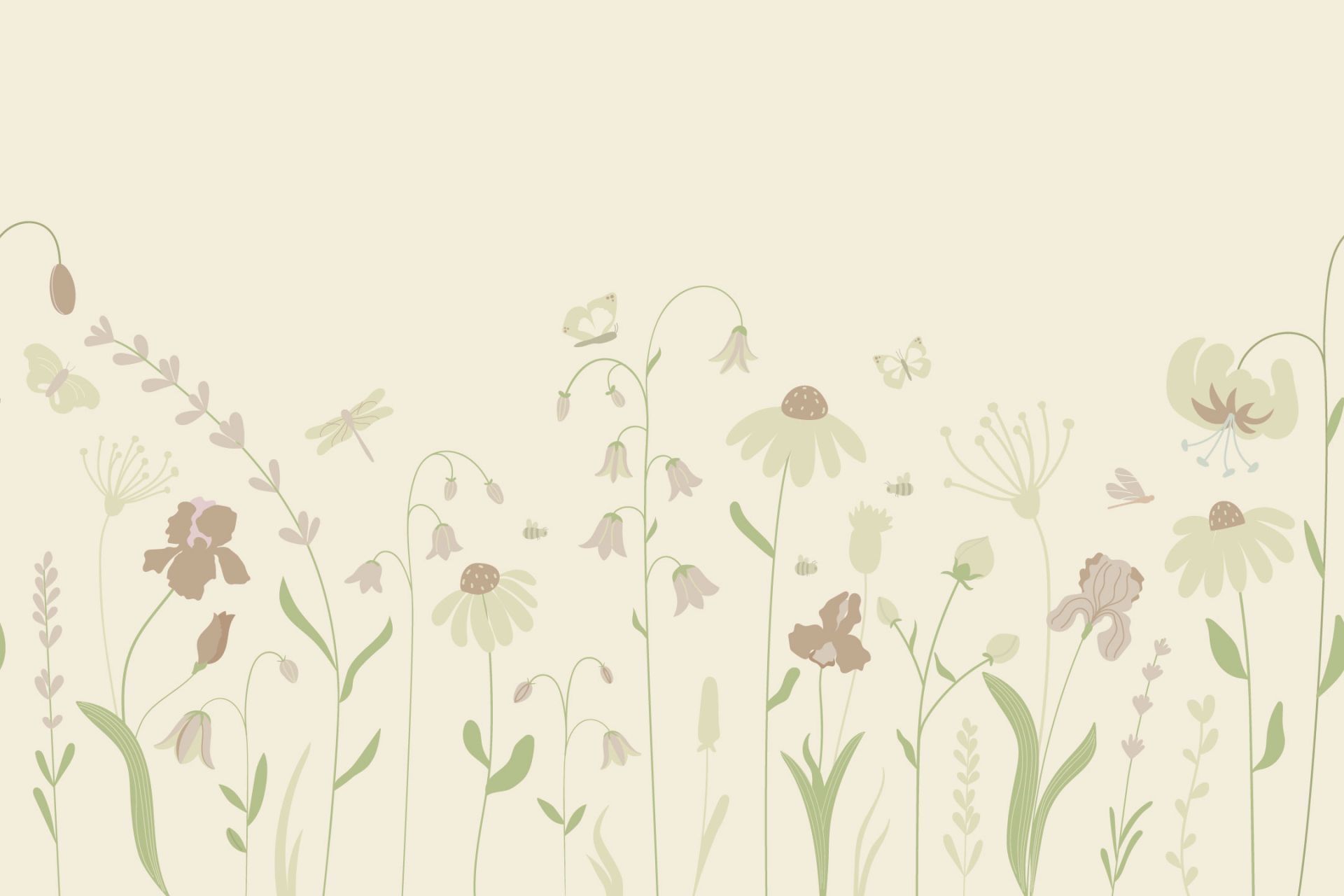 Pole kwiatowe wysokie z motylami piasek ze starym różem