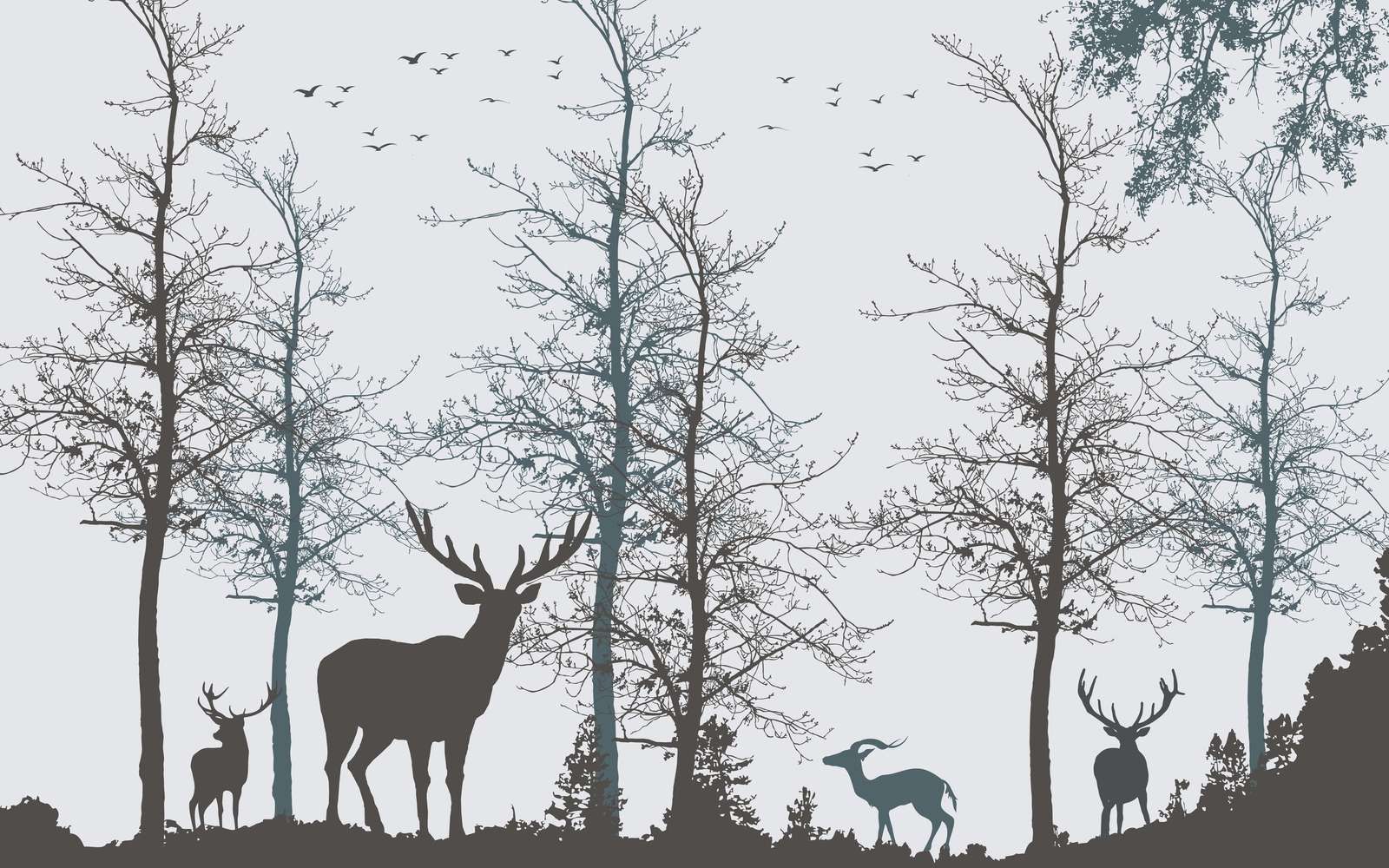 Kontur zimy Leśna cisza