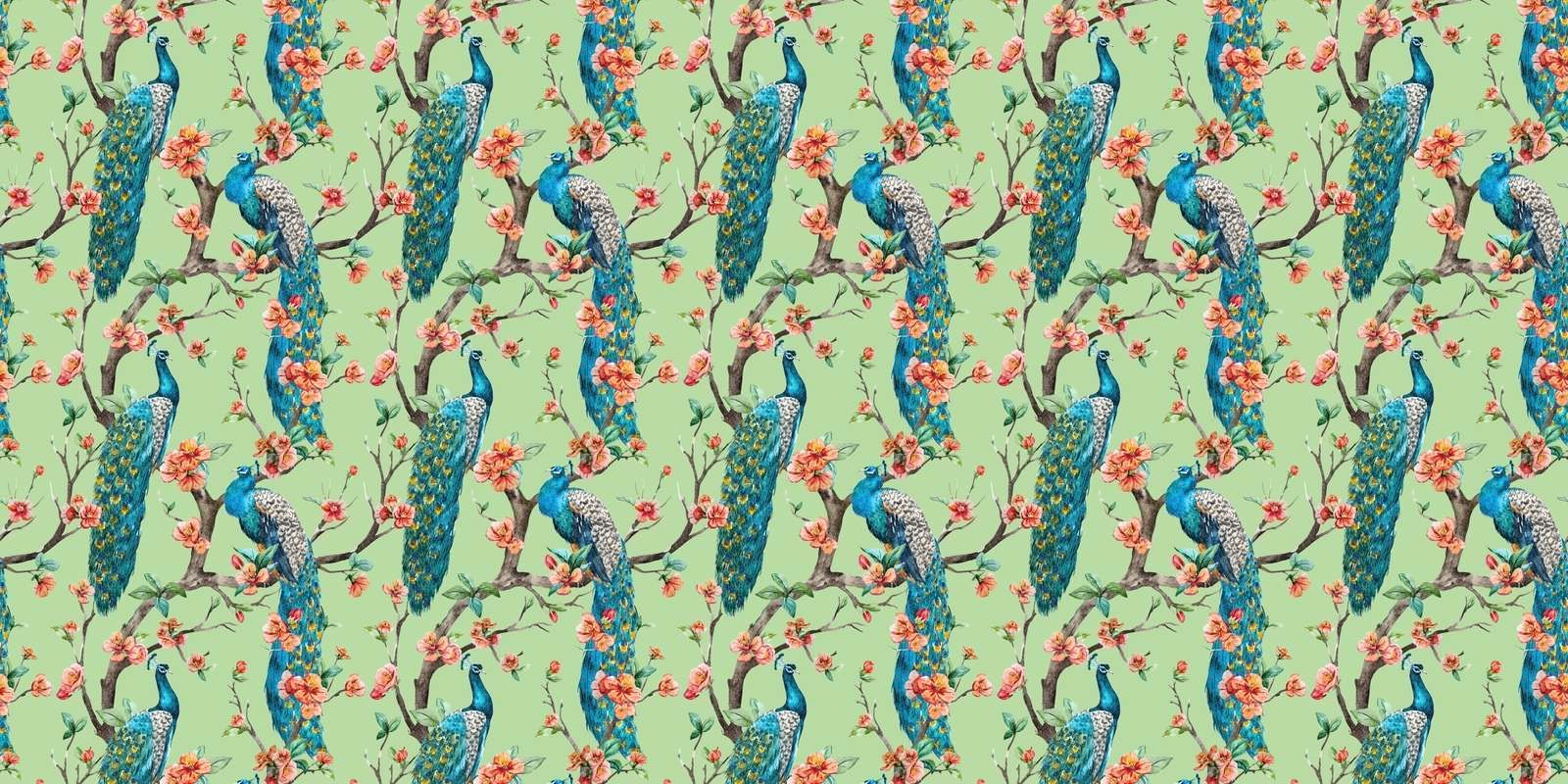 Paw z Ogrodowym Kwiatostanem