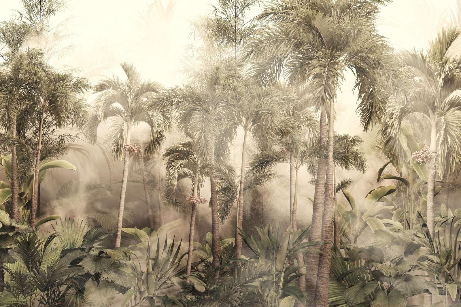 Piękno Tropikalnej Mgły