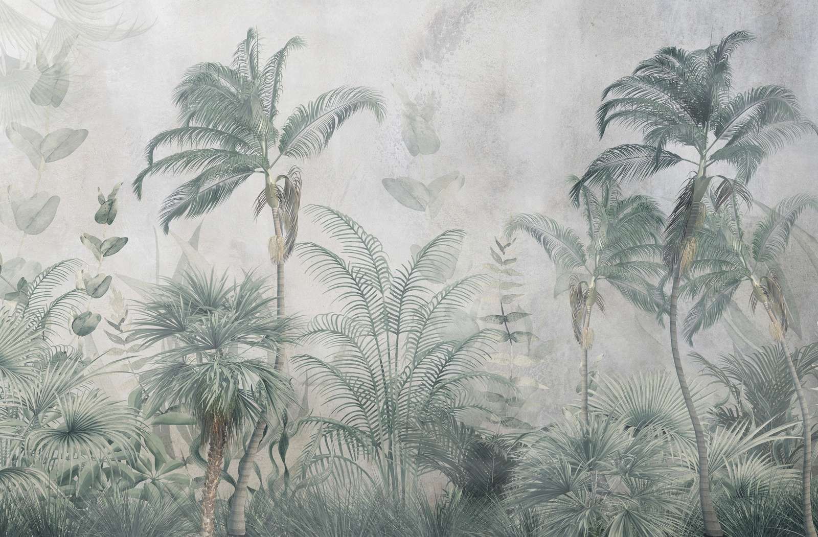 Mgliste Tropikalne Raj