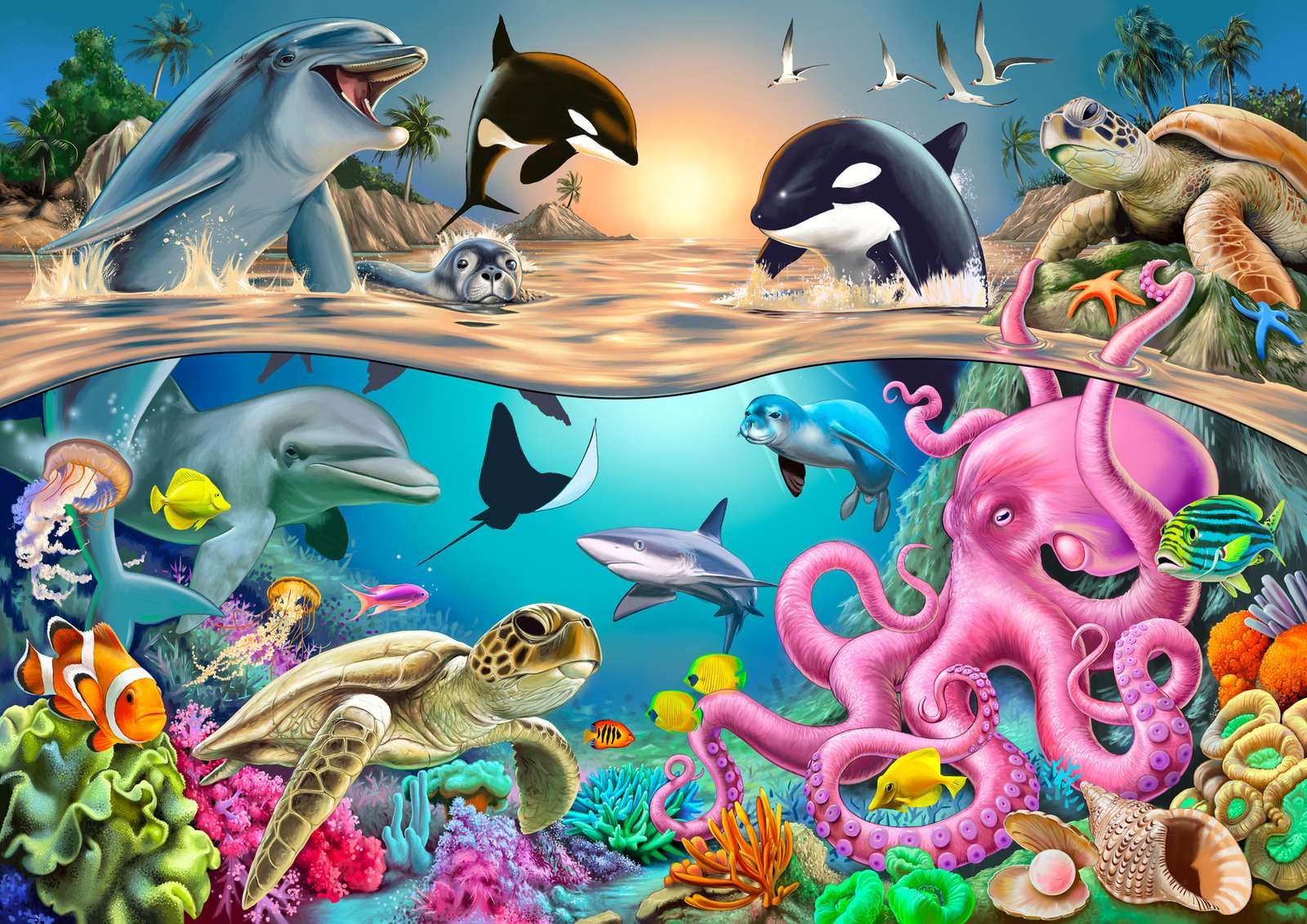 Under and over the sea