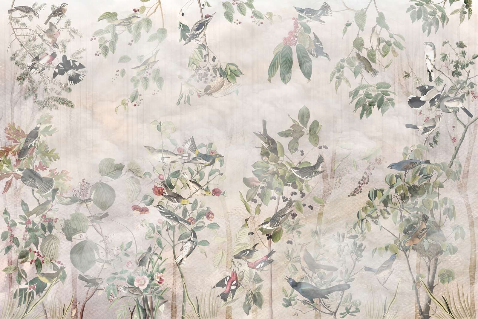 Ptaki leśne w harmonii