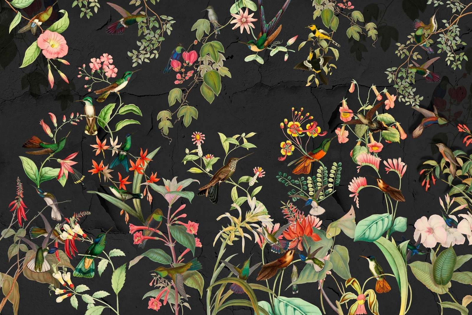 Egzotyczny Ogród Noir