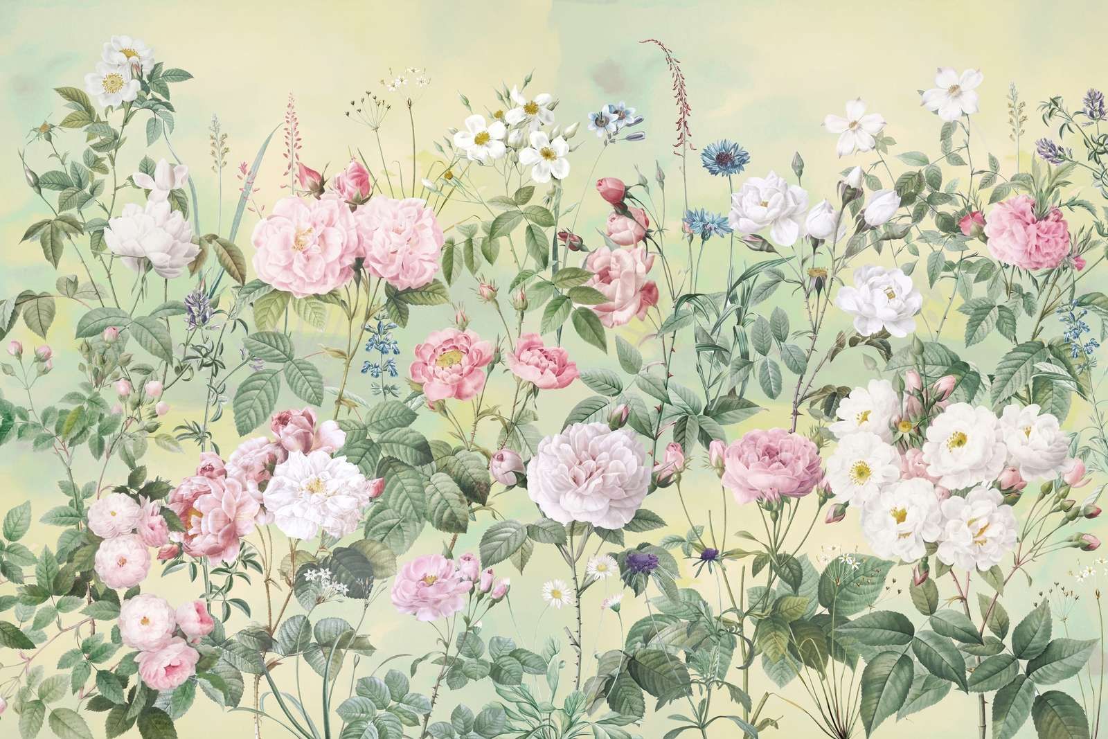 Romantyczny Różany Ogród