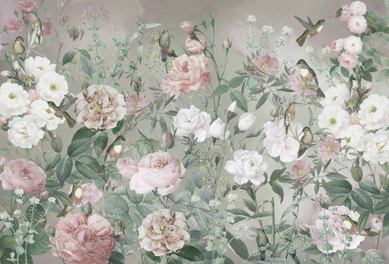 Ptaki w Różanym Ogrodzie