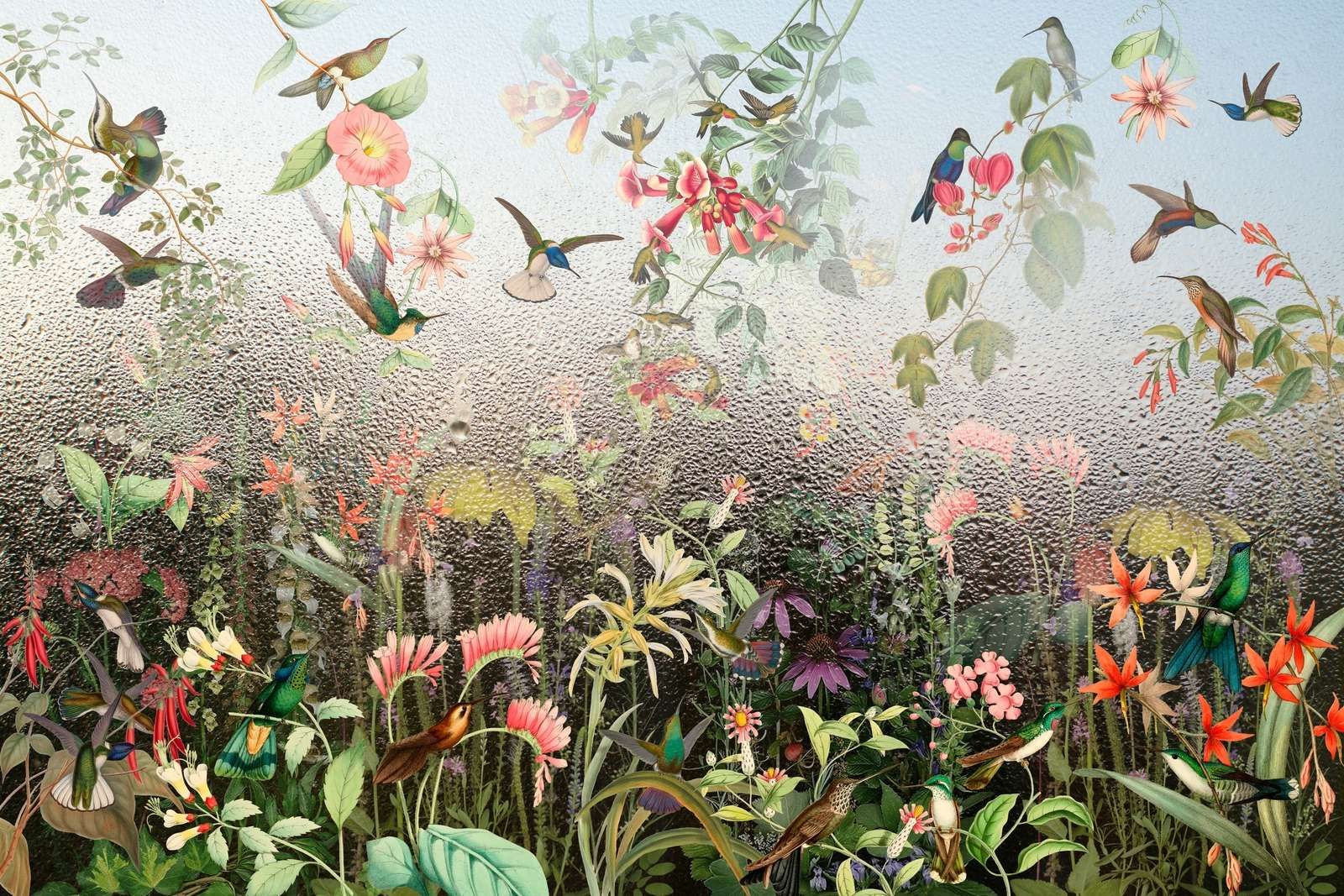 Deszczowy Raj Ptaków