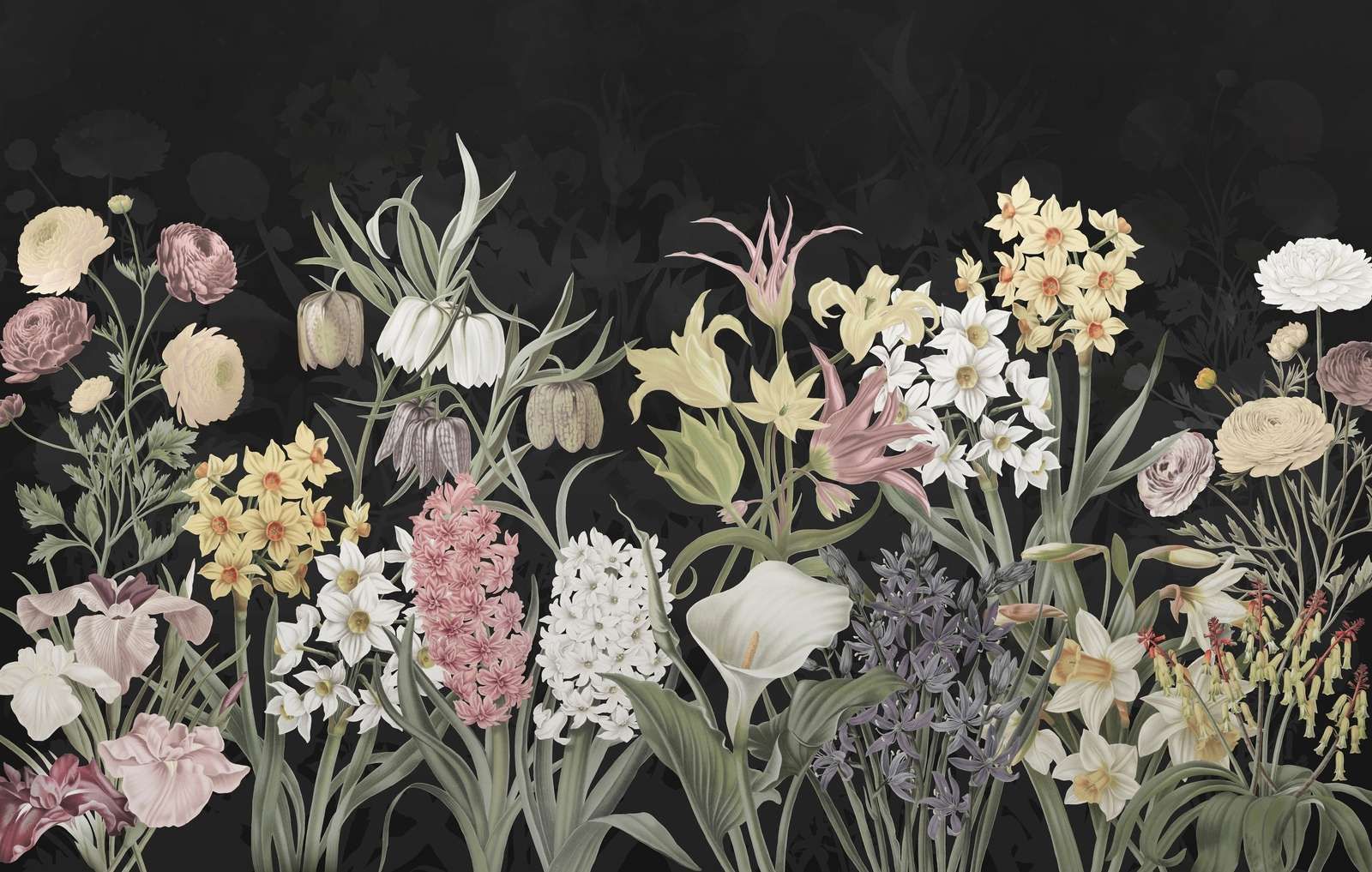 Kwiaty Wiosenne - Kwiat Nocy