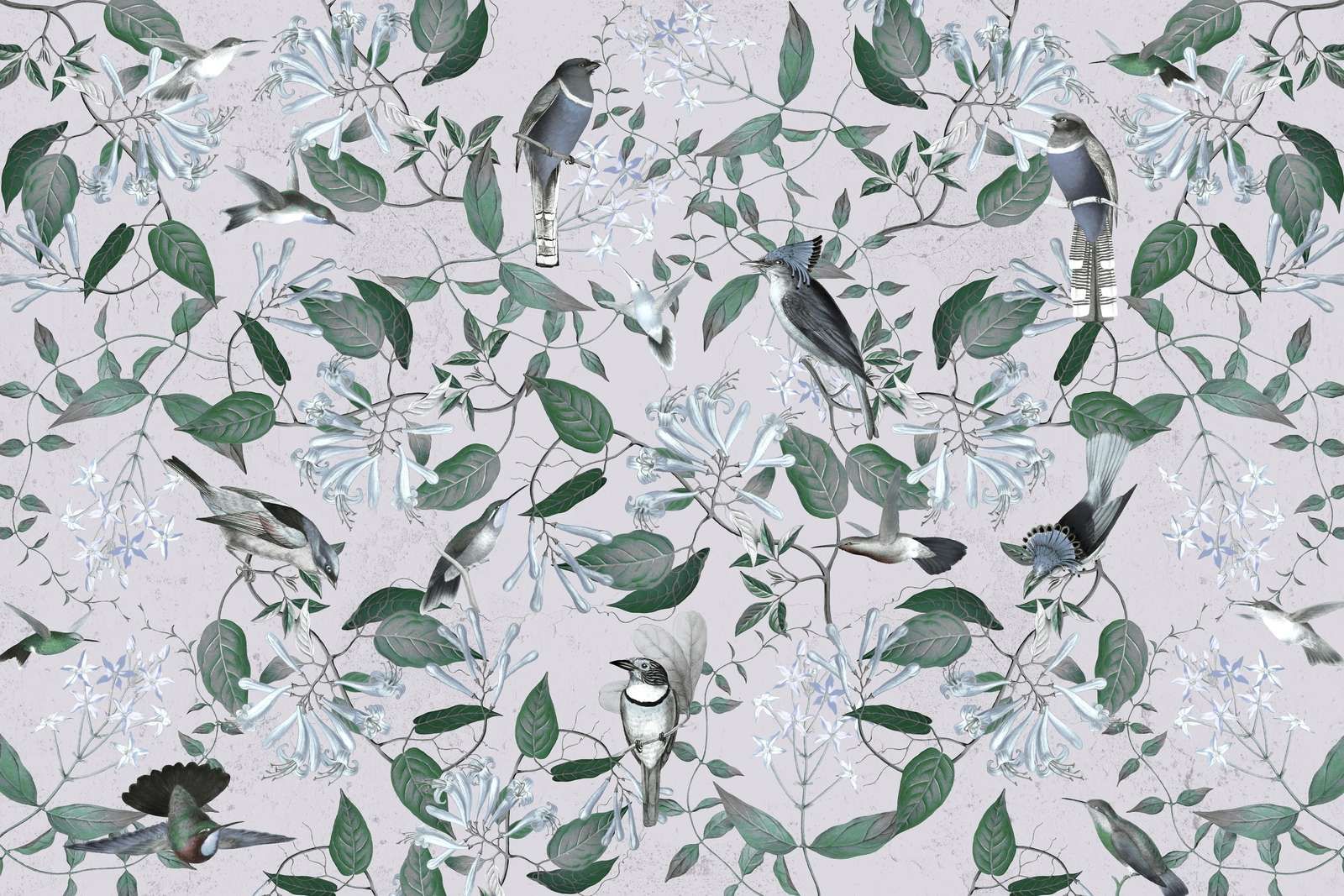 Tescoma Bird Paradise - Lawendowa Mgła