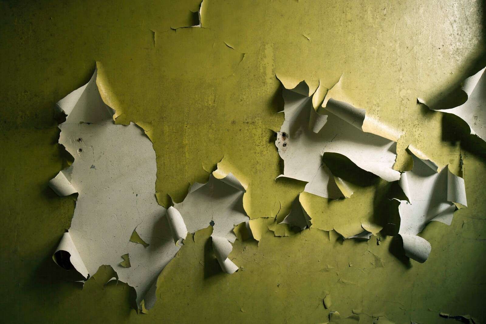 Afladderende Farba na Zielonej Ścianie
