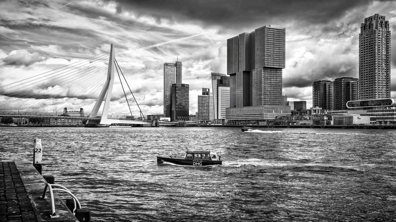 Erasmusbrug i Skyline w Monochromie