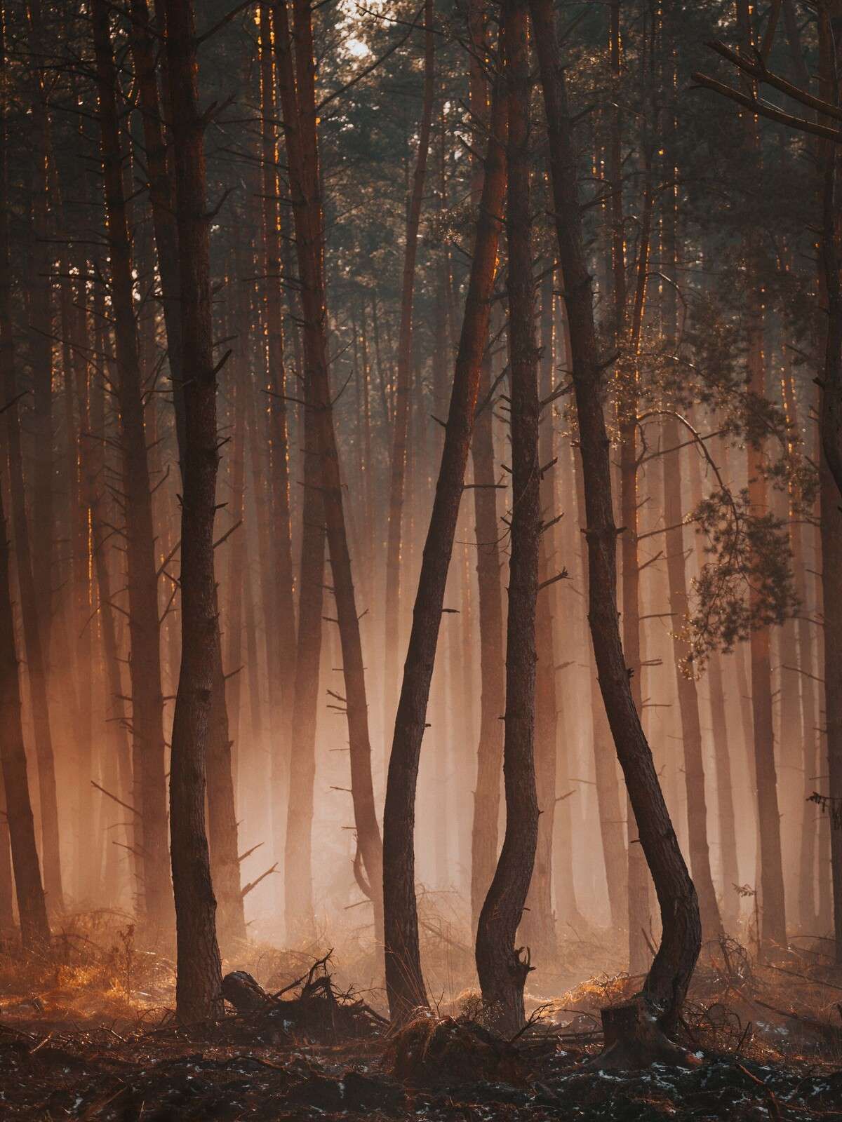 Przejście pór roku