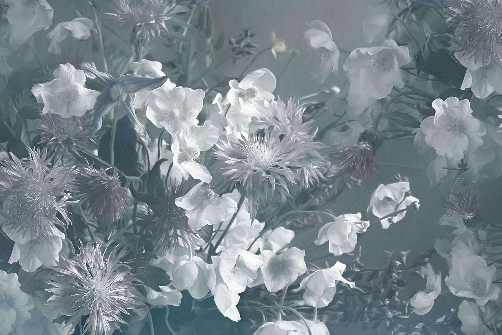 Anemony Niebieskie