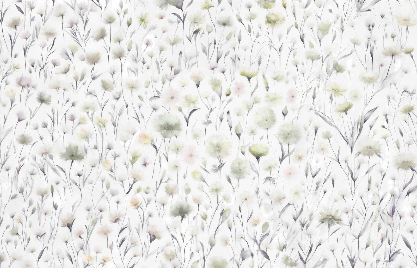 Chabry i trawy polne zielone