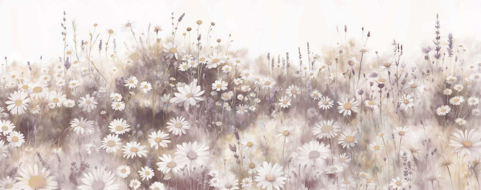 Cicha Łąka Różowych Stokrotek