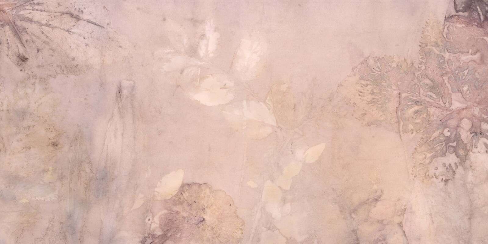 Wegebree i dziki geranium - mauve