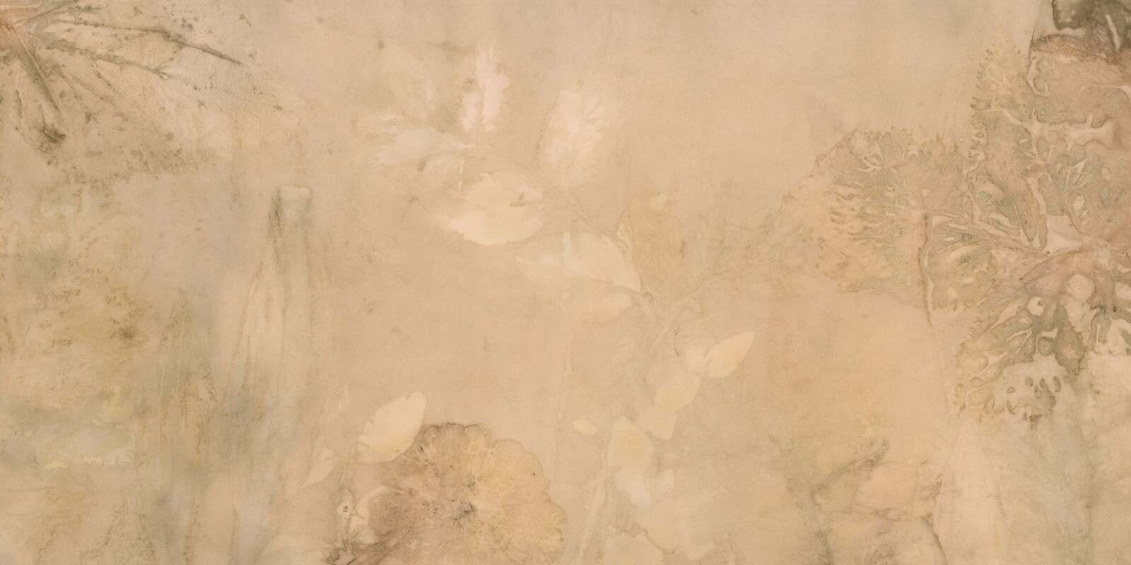 Wegebree i dziki geranium - sepia