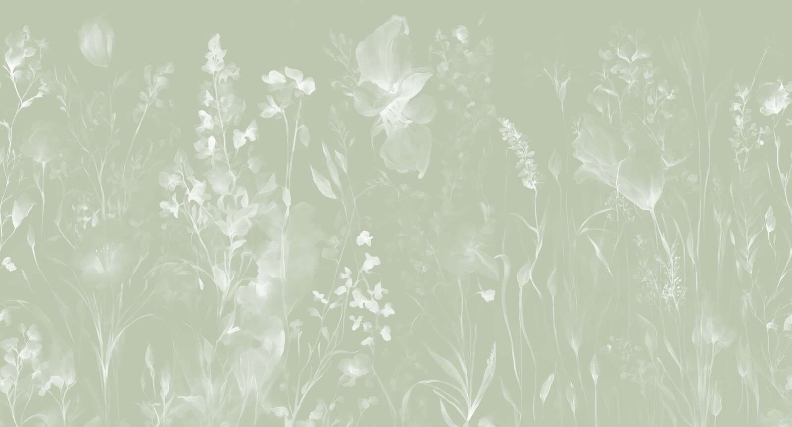 Miękkość serca - oliwka