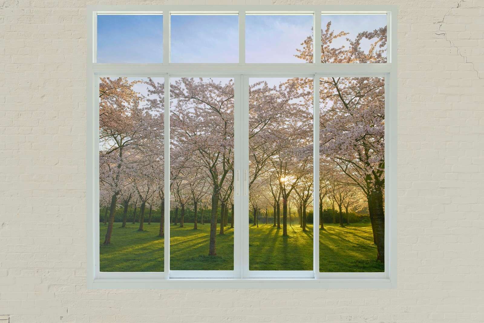 Bloesempark w wiosennym słońcu