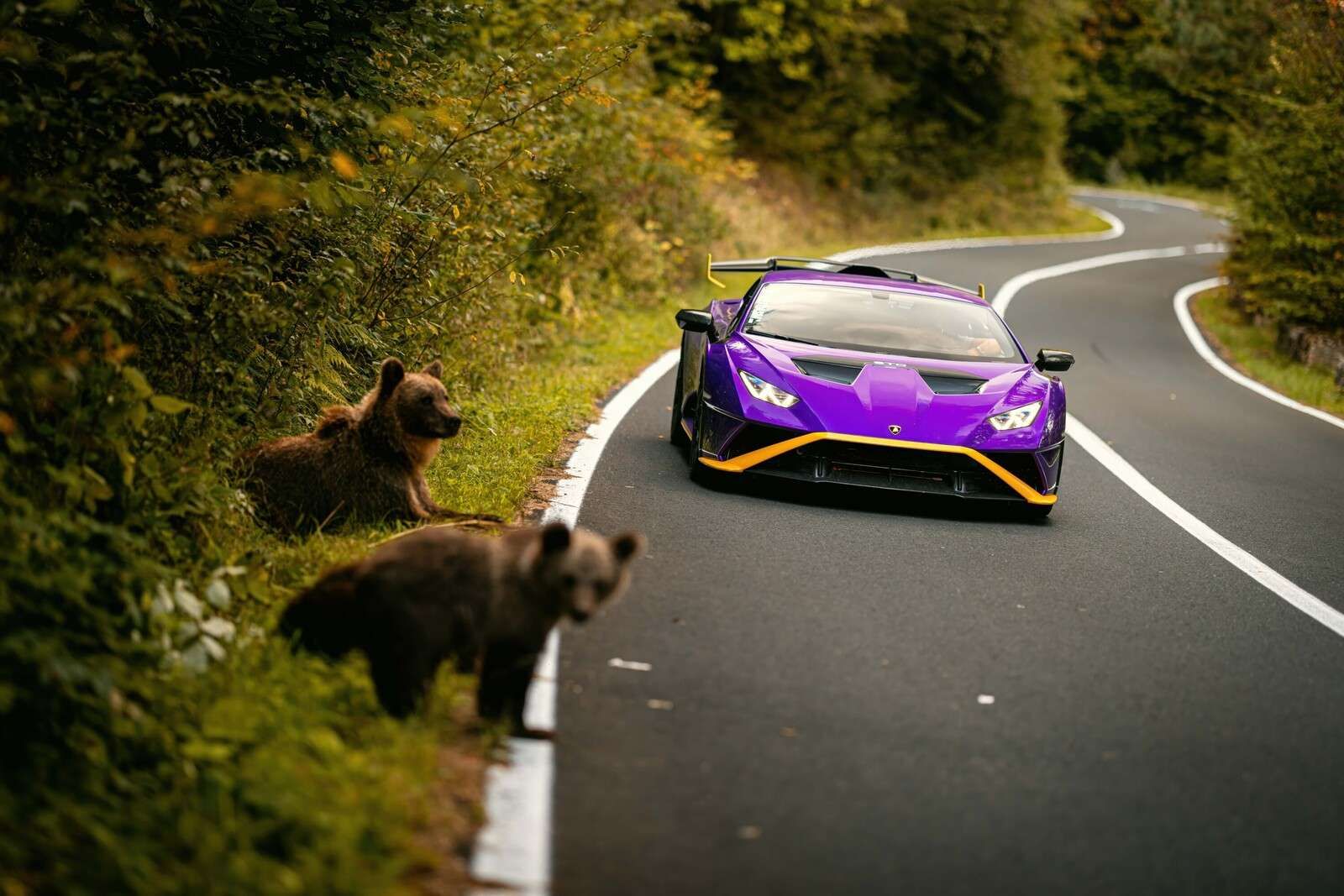 Natura spotyka prędkość