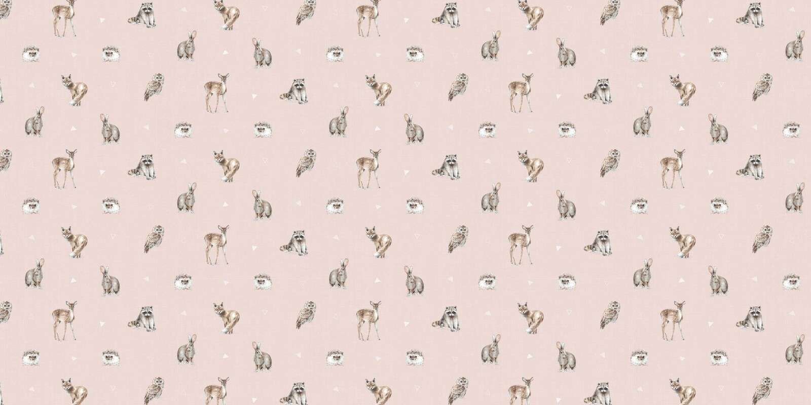 Leśni Przyjaciele Krok 01B