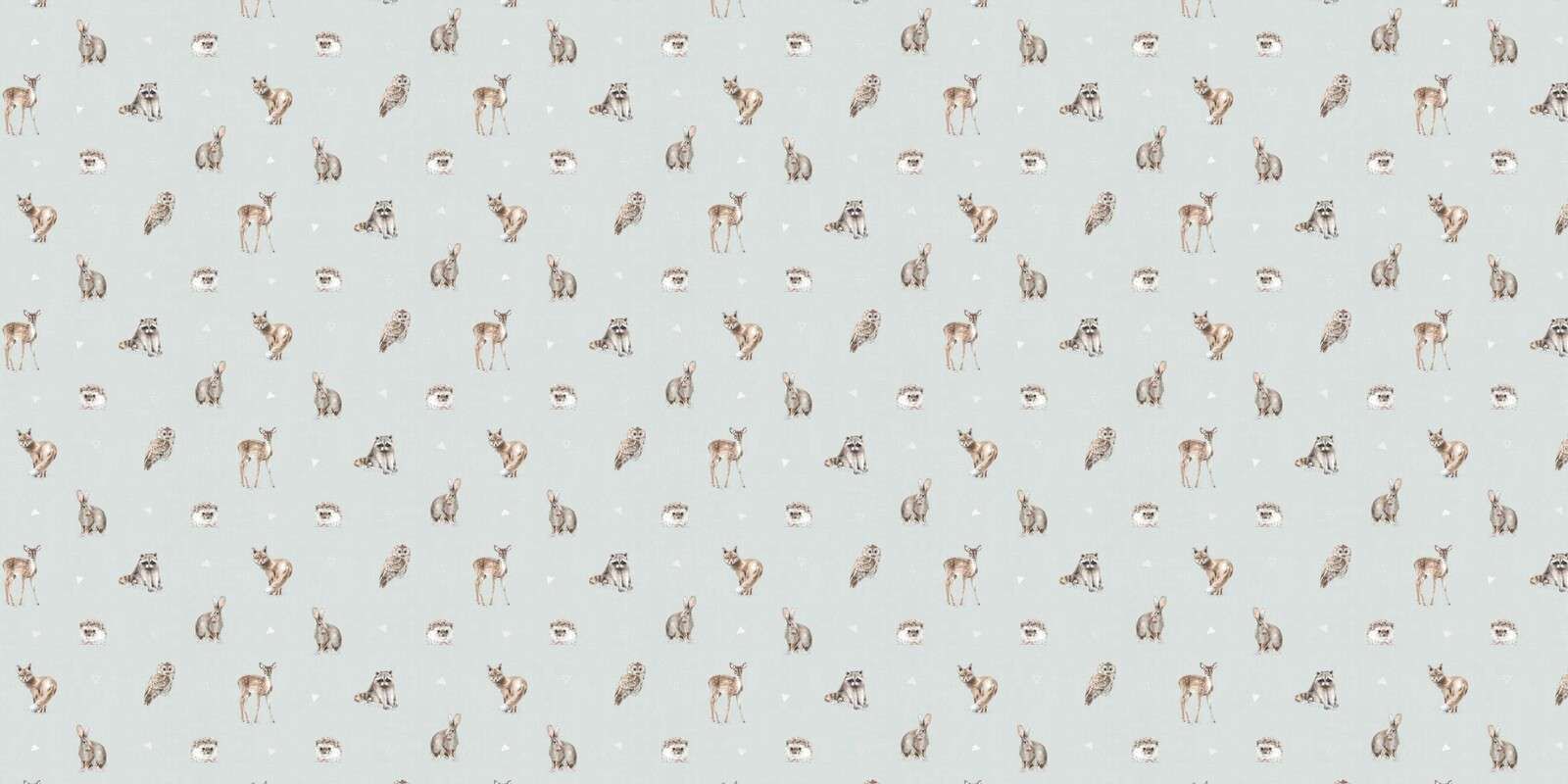 Leśni Przyjaciele Krok 01C