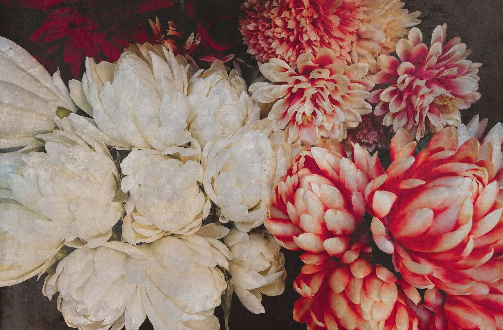 Chryzantemy w kolorze kremowym i karminowym