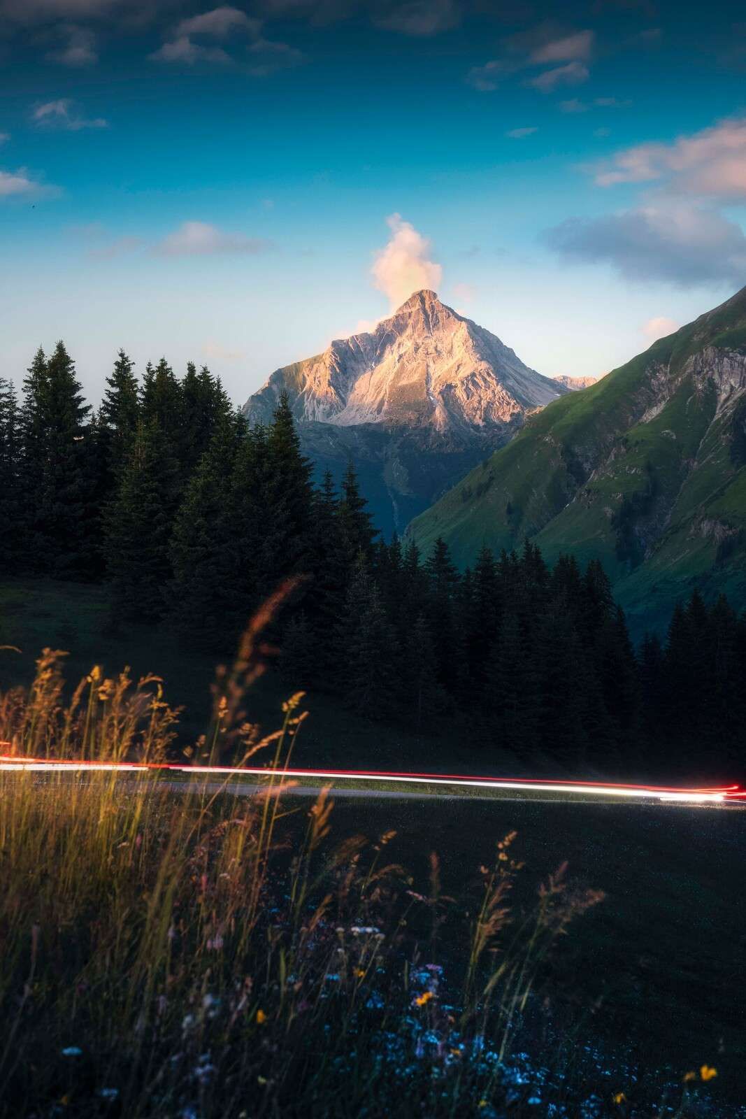 Światło wieczorne na szczycie alpejskim z polem kwiatowym