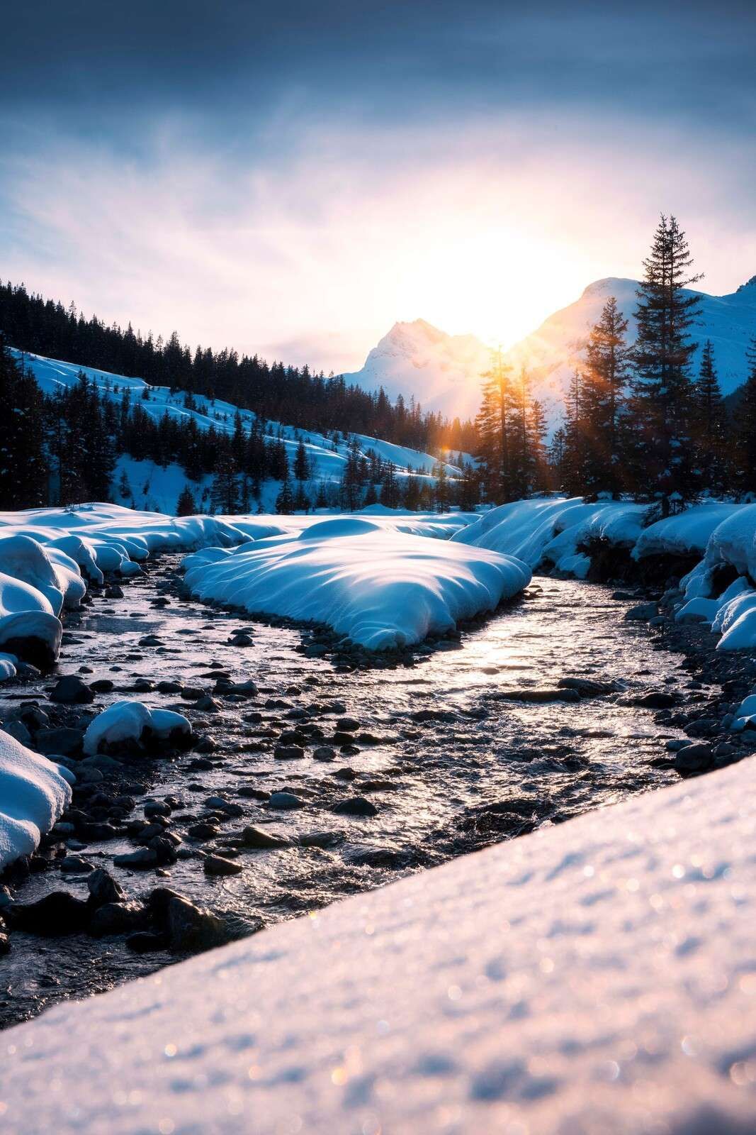 Bergbeek w złocistym zimowym świetle