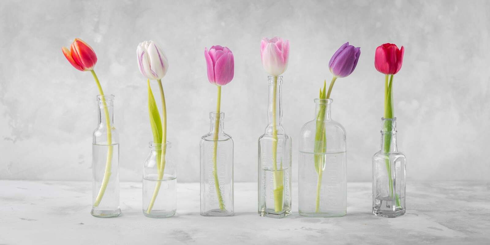 Tulipany w szklanych butelkach