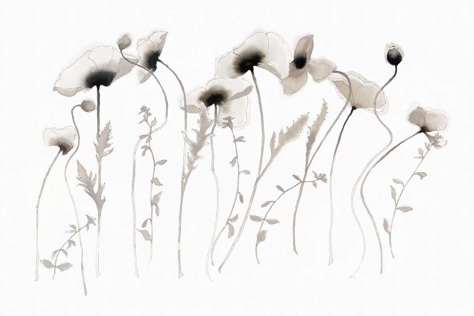 Maki w szarej ciszy atramentu