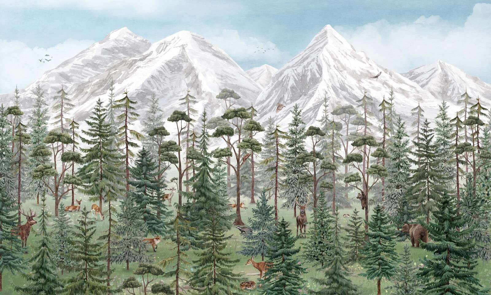 Mountain Forest