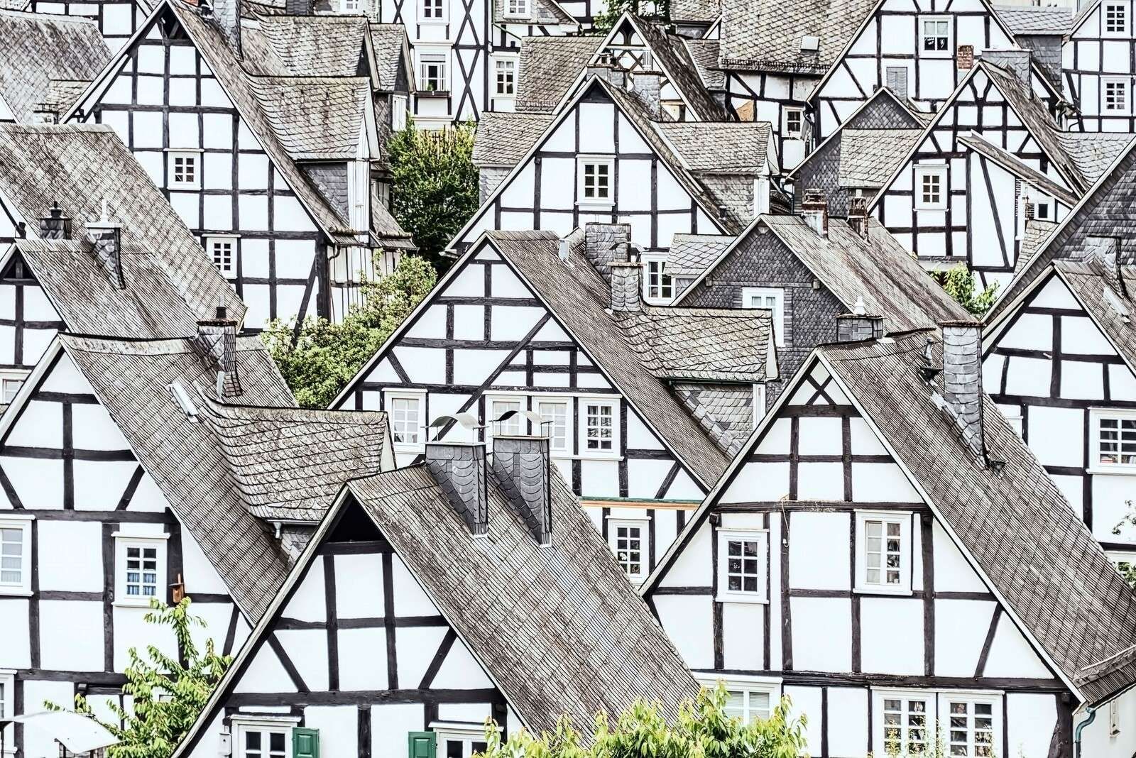 Rytm czarno-białego szachulca