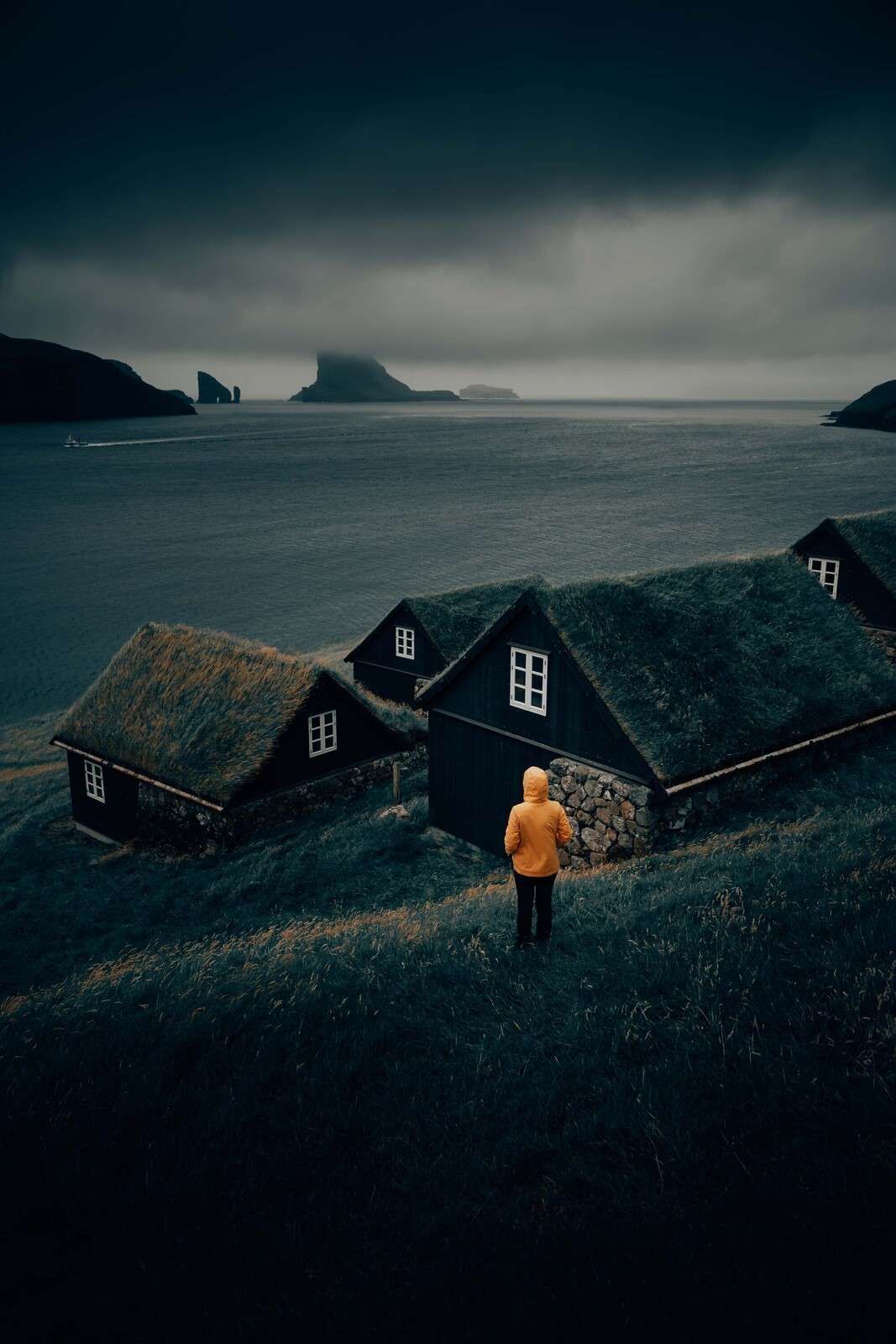 Dachy z trawy nad północnym fiordem