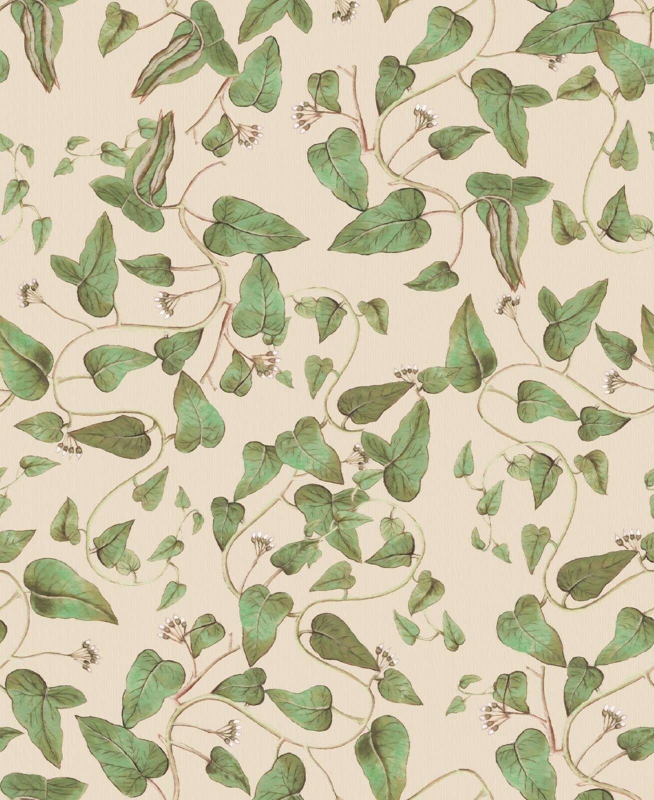 Wspinające się pnącza fasoli na kremie