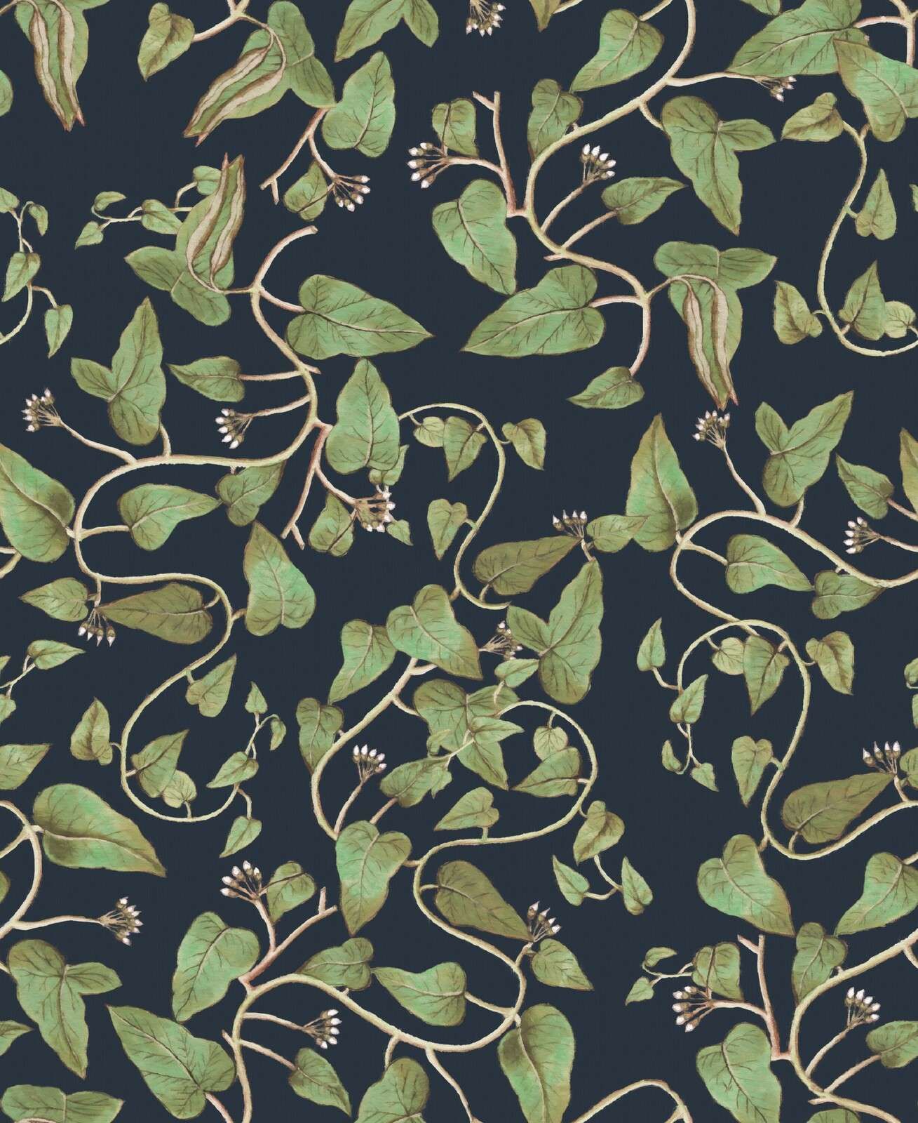 Pnącza fasolowe na nocno-niebieskim