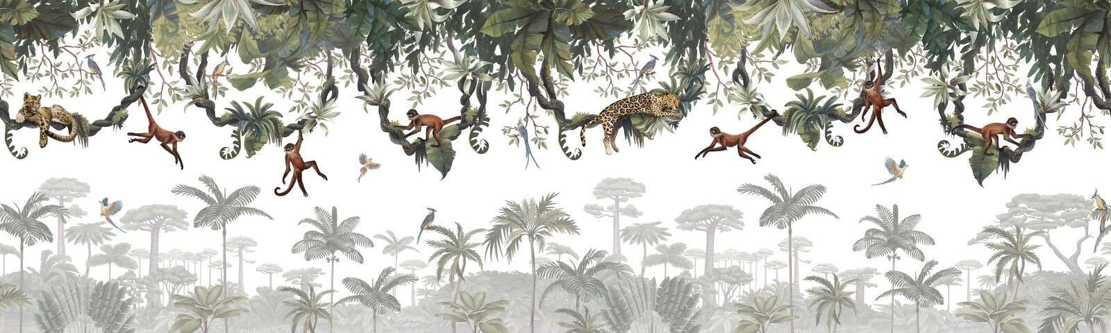 Zuchwałe Małpy - Panorama