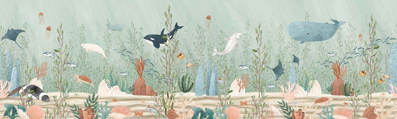 Las kelpowy - Panorama