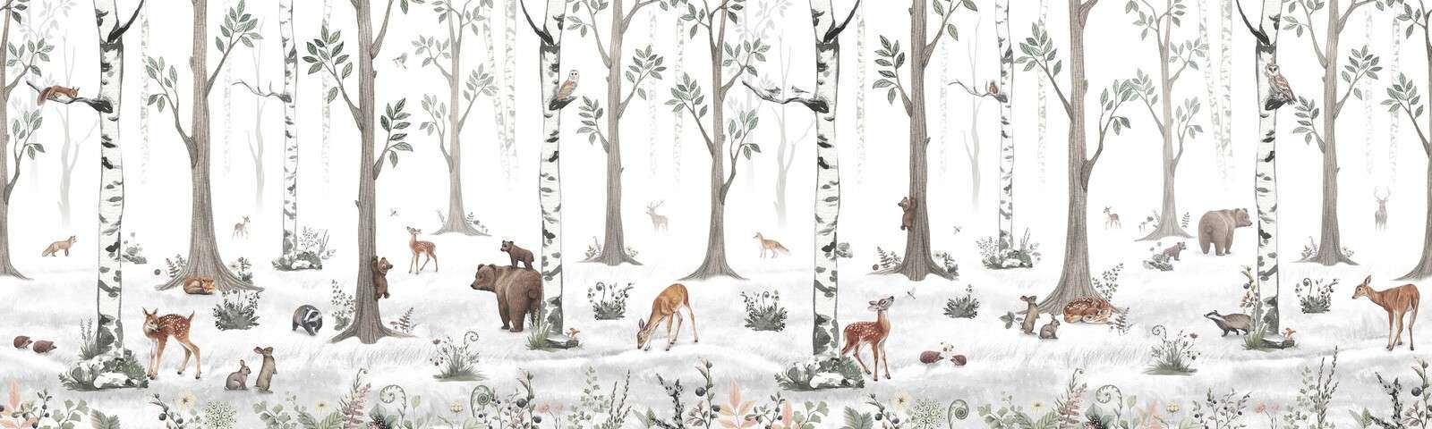 Biały Las - Panorama