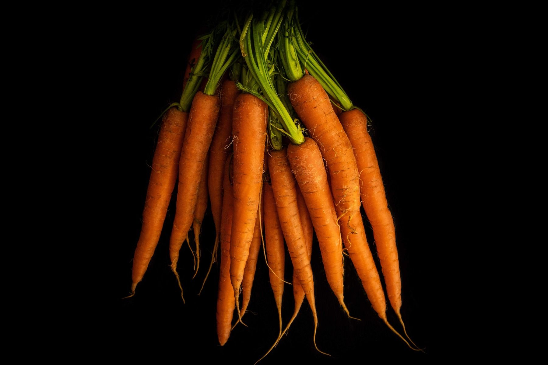 Pomarańczowe korzenie