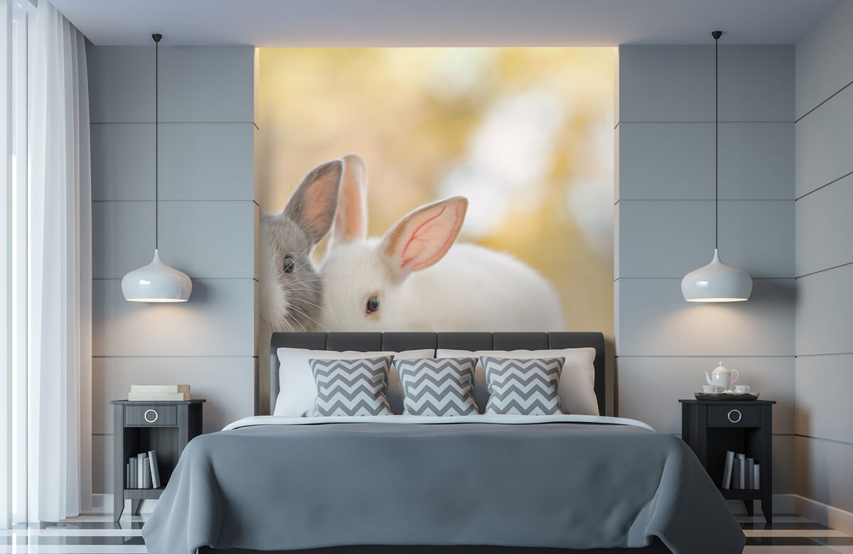 Wallpaper Zbliżenie na króliki 11