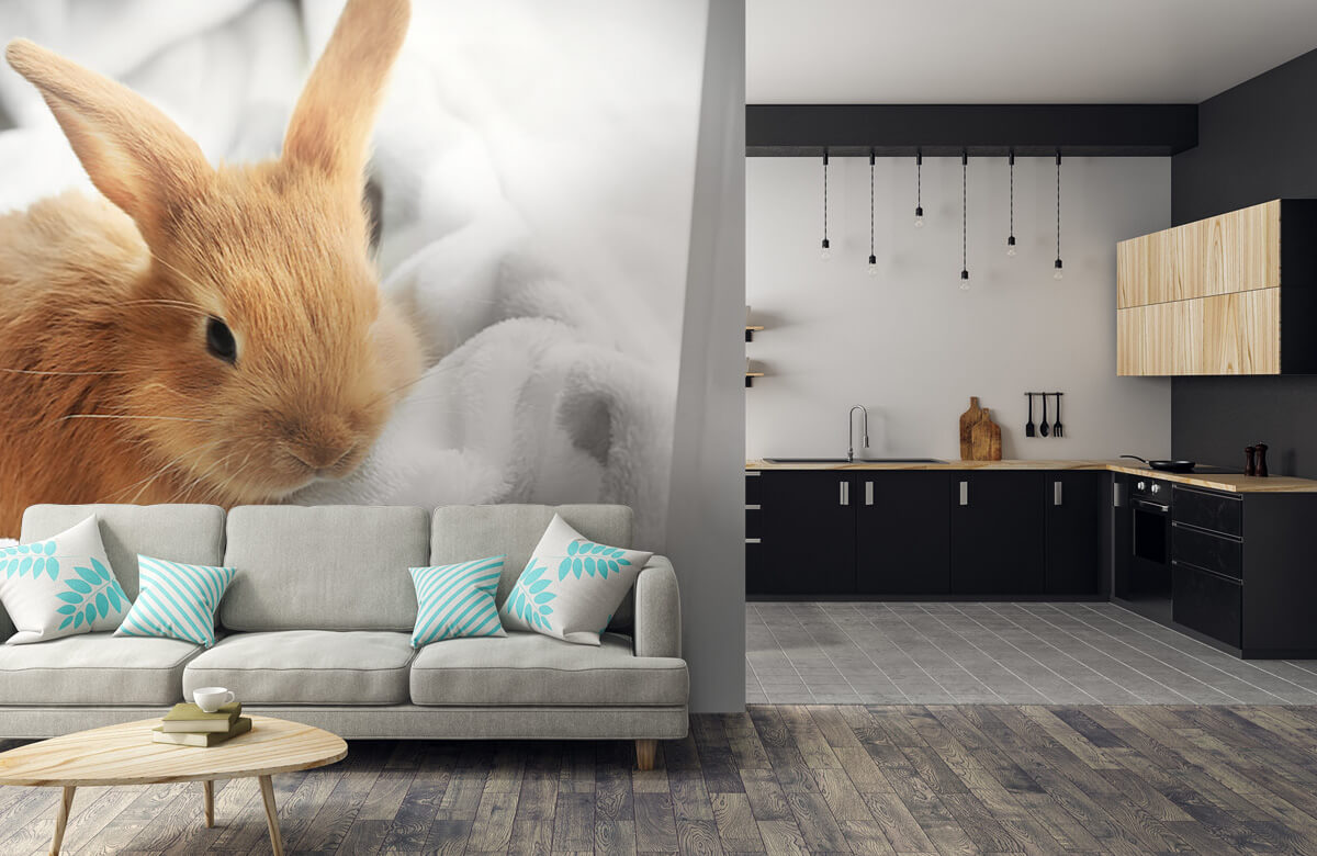 Wallpaper Brązowy królik 8