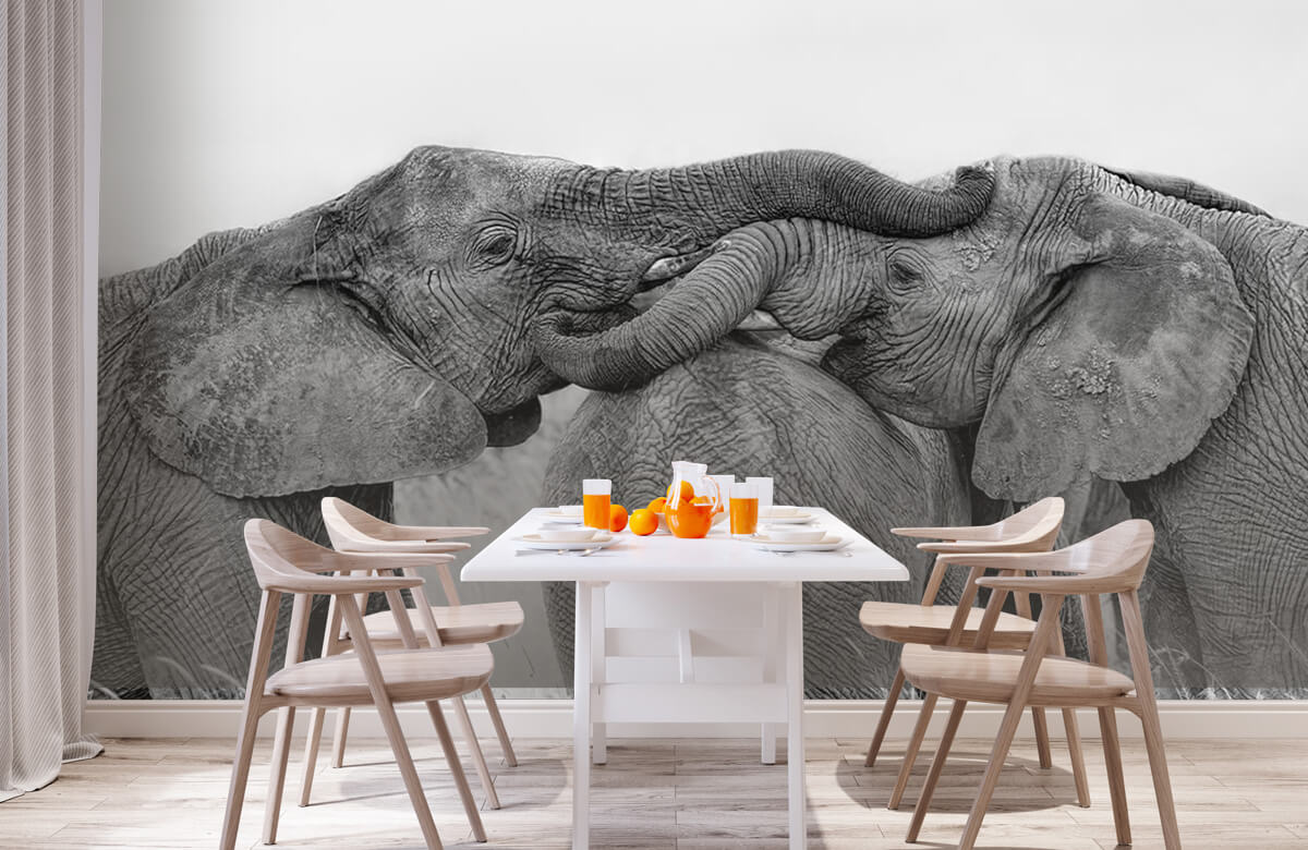  Elephant Playing 1