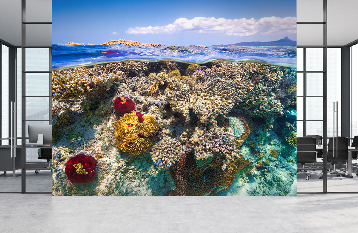 Underwater Mayotte : The Reef 8